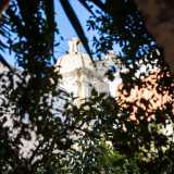 Ci basta infine alzare lo sguardo per ammirare, tra le fronde delle piante, la grande cupola della vicina chiesa di Santa Teresa dei Maschi